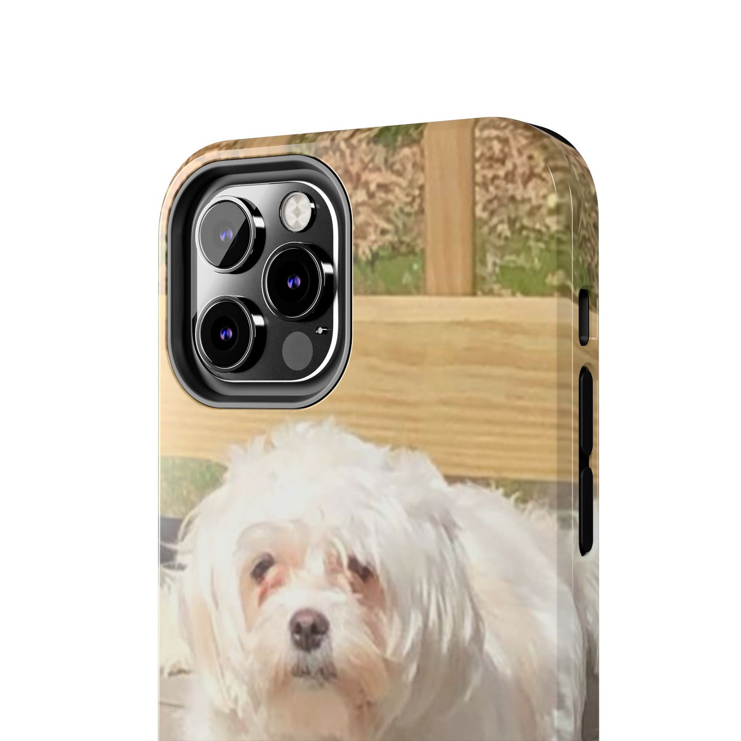 Custom Picture Phone Case