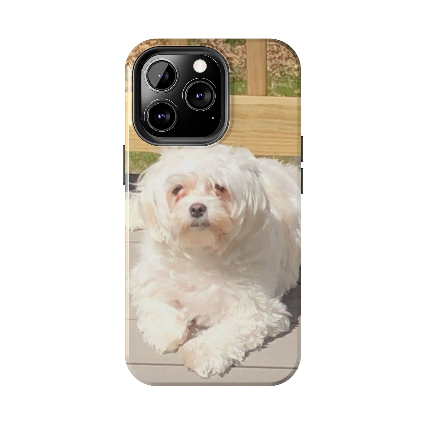 Custom Picture Phone Case