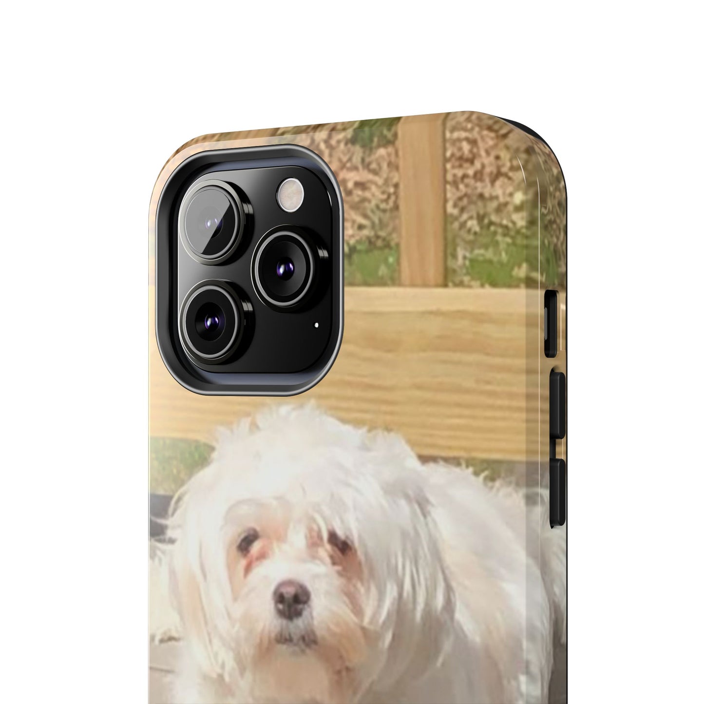 Custom Picture Phone Case