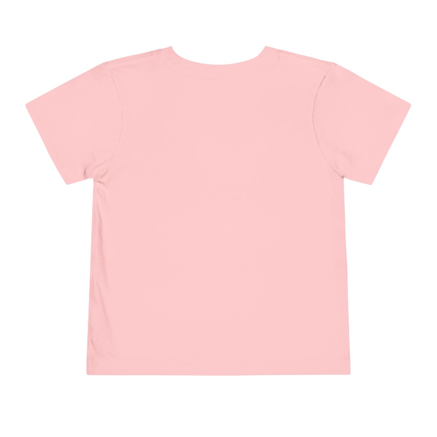 Brother of the Birthday Princess Toddler Tee - Cute Party Shirt for Celebrating Special Occasions