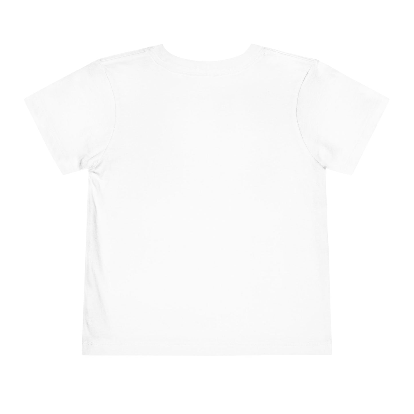 Brother of the Birthday Princess Toddler Tee - Cute Party Shirt for Celebrating Special Occasions