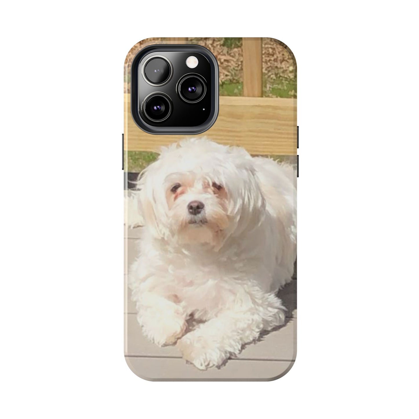 Custom Picture Phone Case