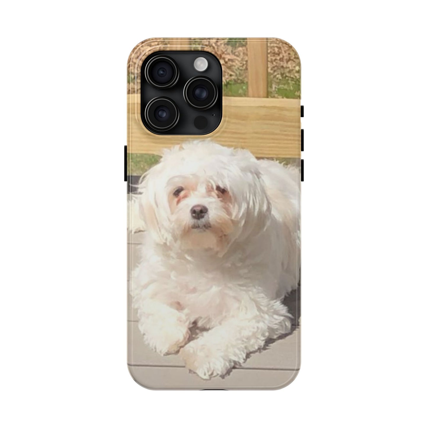 Custom Picture Phone Case