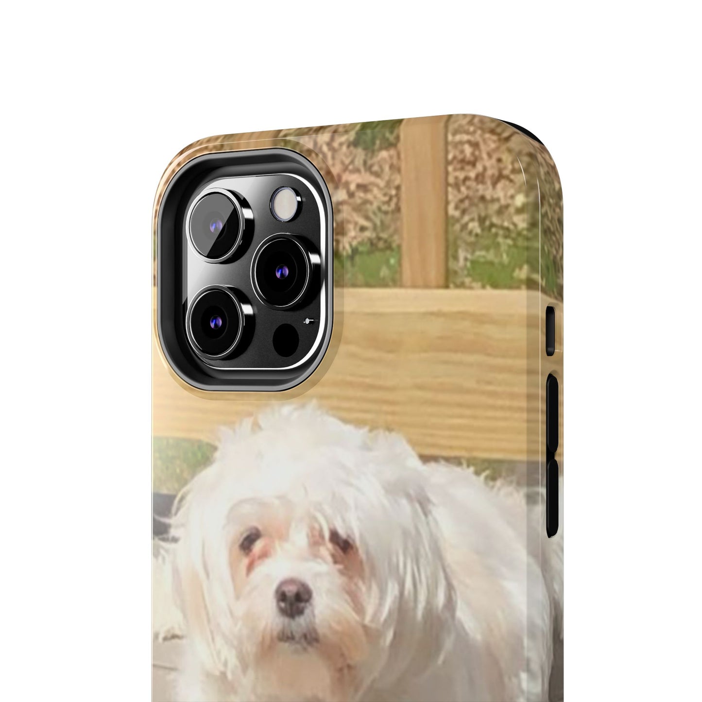 Custom Picture Phone Case