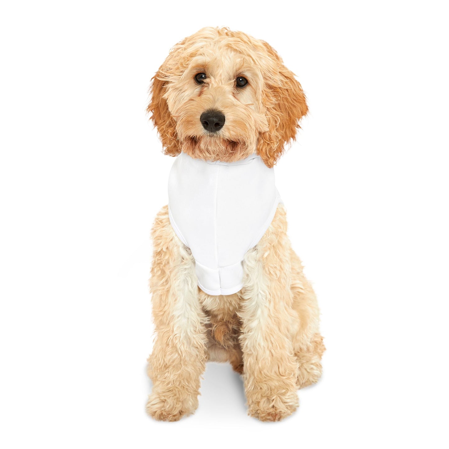 Merry Woomas Pet Hoodie🐾