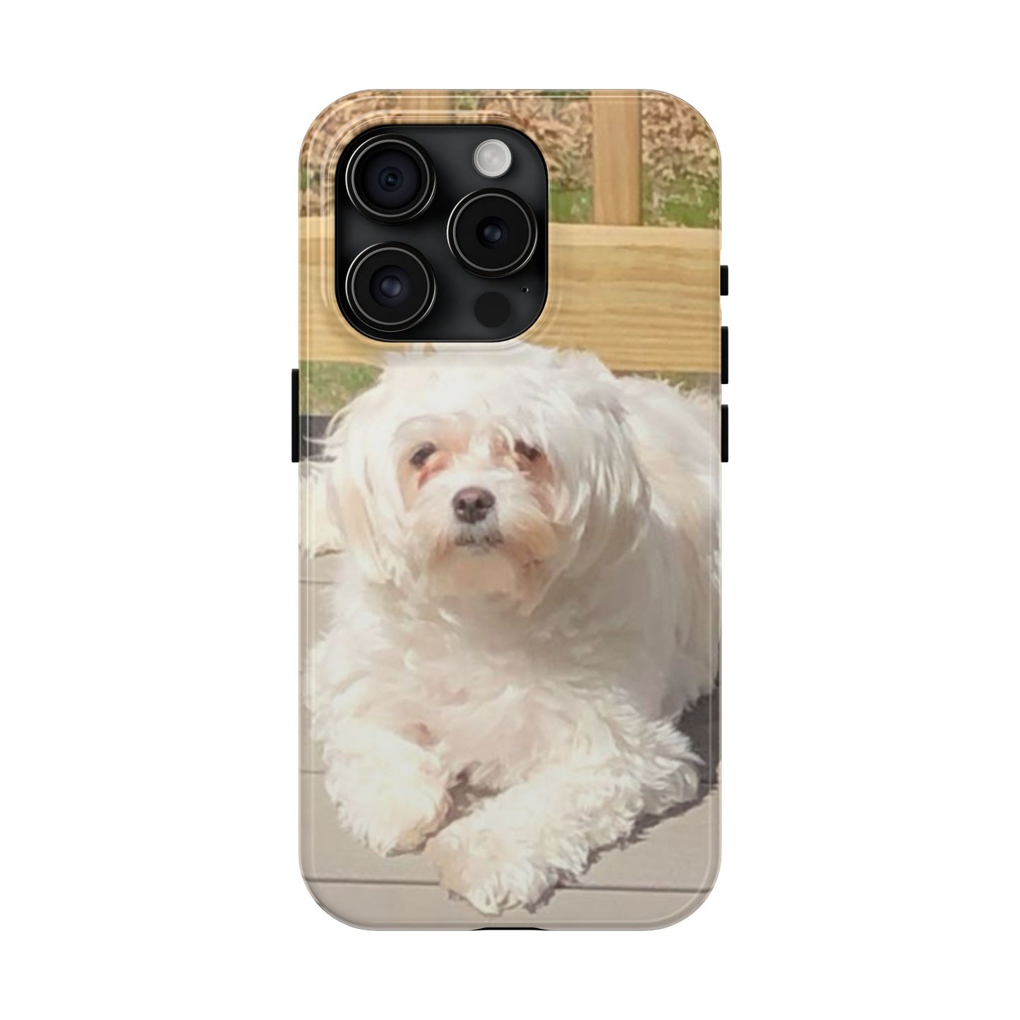 Custom Picture Phone Case